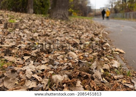 Beautiful brown autumn leaves on the ground. Two people walking on the pedestrian walk in a park.