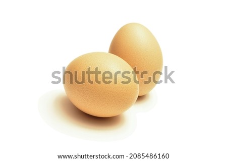 Egg isolated on white background. farm eggs