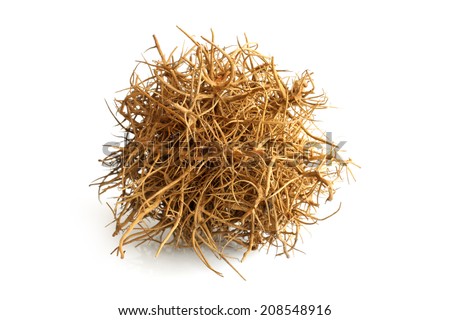 Tumbleweed on white background Royalty-Free Stock Photo #208548916