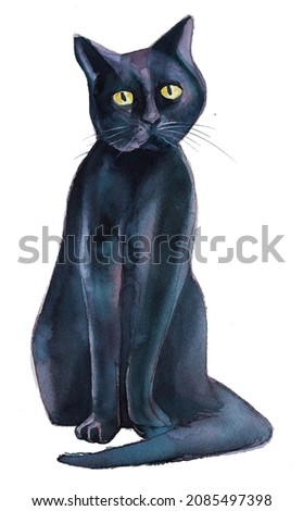 Beautiful hand painted watercolor cat illustration isolated on a white background. Black kitten design for card, invitation,branding. Animal hand drawn clipart.