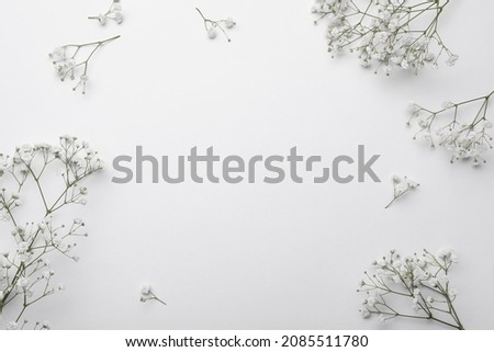 Beautiful gypsophila flowers on white background, flat lay. Space for text Royalty-Free Stock Photo #2085511780