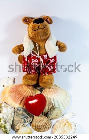 Holiday bear with heart and seashells, white background, bear, vacation, seashells, vacation time
