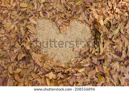 frame grass heart shaped of dry leaves on the ground.