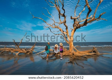 Family standing on the beach with weathered trees at sunset. People relaxing on the beach. Driftwood Beach on Jekyll Island, Georgia, USA. Royalty-Free Stock Photo #2085620452