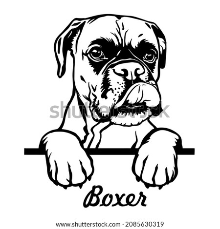 Boxer Peeking Dogs. Boxer dog breed. black  and white clipart of a dogs head isolated on a white background. The dog stuck out its tongue. Royalty-Free Stock Photo #2085630319