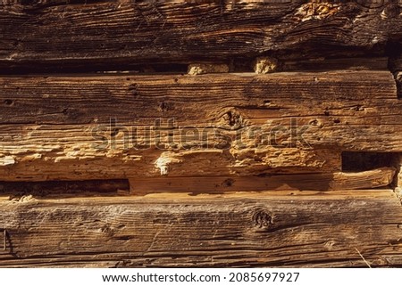 Closeup picture of old rustic wooden planks eaten by caries