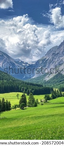 A BEAUTIFUL PICTURE OF GREENERY WITH A MOUNTAIN IN THE BACKGROUND. 