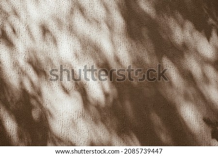 Abstract tree and leaves branch sunlight shadow background on neutral beige concrete wall. Aesthetic nature pattern sun light shadow background