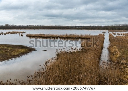 Nature landscape view over the water of the Het Vinne Flemish nature reserve in Zoutleeuw, Belgium.