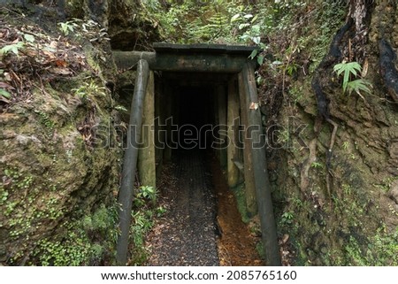 Historic rail tunnel, a part of an old gold mine transportation system located in North Island in New Zealand