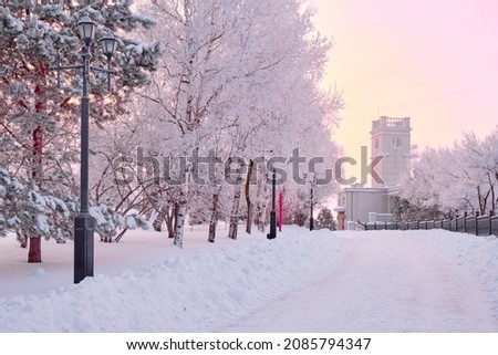 A cliff in Khabarovsk and a park of culture and recreation after a heavy snowfall in the morning at sunrise. Trees in the snow.