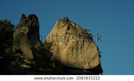 rocks and pin trees in the mountain