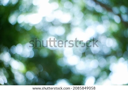Blurred plants creating a green background with natural bokeah. 