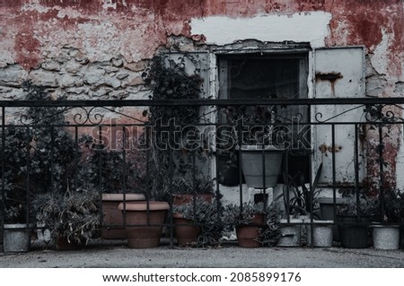 Black color effect of old window with plants in a facade of typical building, Zakynthos island, Greece