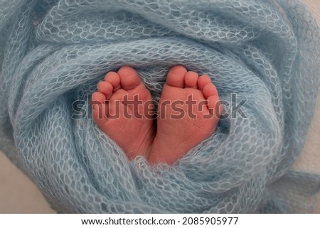 The tiny foot of a newborn. Soft feet of a newborn in a blue woolen blanket. Close up of toes, heels and feet of a newborn baby. Studio Macro photography. Woman's happiness. Photography, concept.