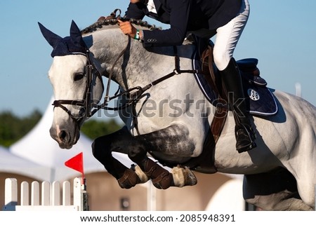 Horse Jumping, Equestrian Sports, Show Jumping themed photo. Royalty-Free Stock Photo #2085948391