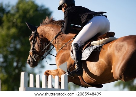 Horse Jumping, Equestrian Sports, Show Jumping themed photo. Royalty-Free Stock Photo #2085948499