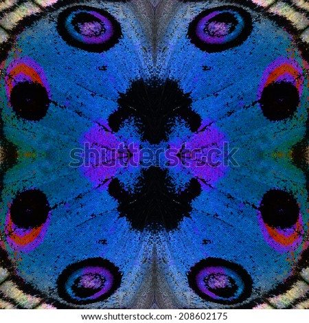Exotic Blue Background Texture made of Blue Pansy Butterfly's wing