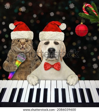 A beige cat and dog labrador play the piano and sing Christmas songs in a nightclub.