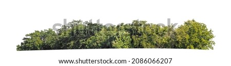 Green Trees isolated on white background. are Forest and foliage in summer for both printing and web pages Royalty-Free Stock Photo #2086066207
