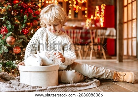 little kid boy with blond hair and blue eyes in beautiful knitted clothes sits in living room near Christmas tree in chalet with white small rabbits for family celebration of Christmas and New Year