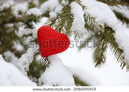 Red knitted love heart in the snow on fir branches. Background for romantic card, Christmas and New Year celebration, Valentine's day or winter weather