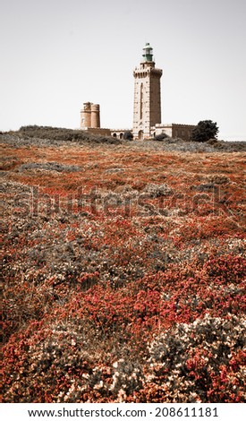 Lighthouse on Cap Frehel and the fields covered with gorse and heather flowers. Brittany, France. Retro aged photo.