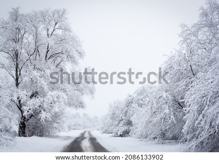 A winter road in the country with trees covered in snow. Driving on a road after a snowfall. Winter concept.