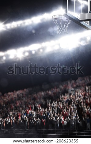 Basketball arena 
