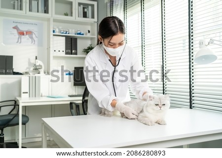 Asian veterinarian examine cat during appointment in veterinary clinic. Professional vet doctor woman stand on examination table with stethoscope work and check on little animal kitten in pet hospital Royalty-Free Stock Photo #2086280893