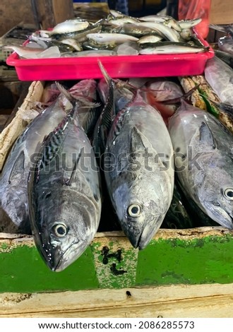 Fish in indonesian traditional market