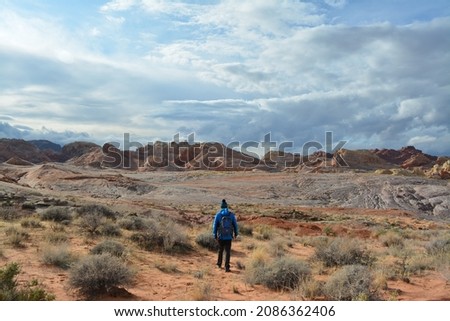 one man hiking on a sunny day in the Valley of Fire in Nevada United States of America
