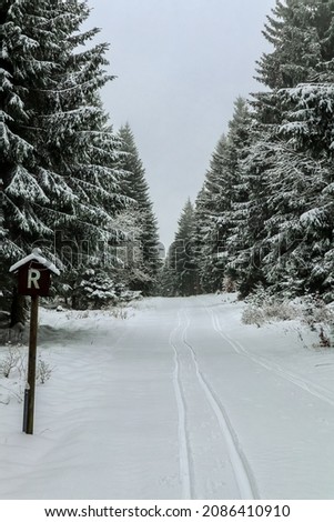 Beautiful winter landscape on the heights of the Thuringian Forest near Schmiedefeld - Thuringia