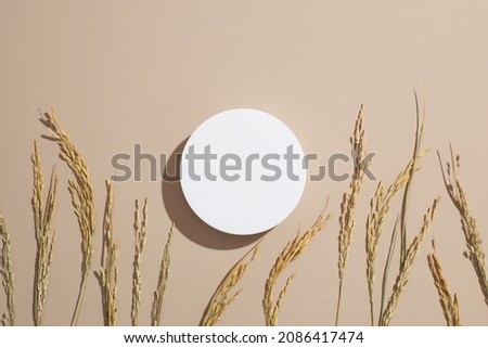 traditional food wheat and rice with white podium in light purple background for product advertising , traditional food content , top view