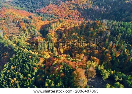 Mountains covered with autumn colored forest, aerial view. Beautiful nature landscape