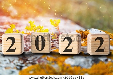 Happy New Year 2022 on wood cube block and nature background