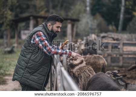 Farmer and his flock on a cattle-farm