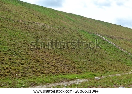 Permanent slope protection with grass using the hydroseed method. The grass is used to stabilizes the slope structure and prevent slope erosion. Effective and less maintenance.  Royalty-Free Stock Photo #2086601044