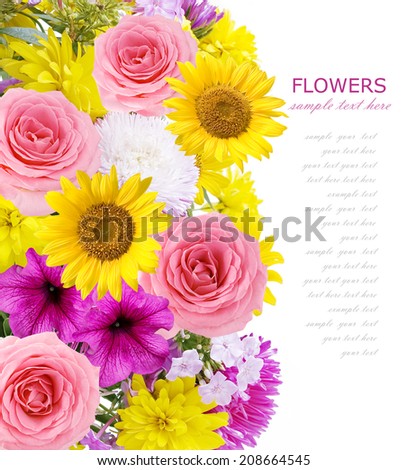 Summer flowers background isolated on white with sample text. Aster, rose, sunflowers