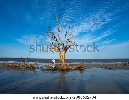 Girl relaxing on the beach with weathered trees at sunset. Girl sitting on the tree branch on the beach. Driftwood Beach on Jekyll Island, Georgia, USA. Royalty-Free Stock Photo #2086682704