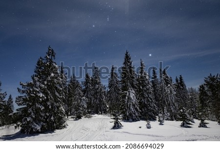 Mesmerizing night landscape snowy fir trees grow among snowdrifts against the backdrop of non-mountain ranges and a starry clear sky. Beauty concept of northern nature. Northern Lights Concept