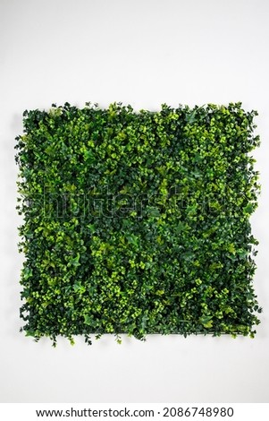 Artificial fake plant bush wall for interior and exterior decoration. Royalty-Free Stock Photo #2086748980