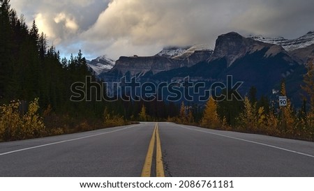 Diminishing perspective of popular road Icefields Parkway in Jasper National Park, Alberta, Canada in the rocky mountains in autumn season with colorful trees and snow-capped mountains in the evening.