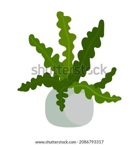 Indoor plant, potted branch. Flat vector graphics.
