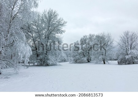 Amazing Winter landscape of South Park in city of Sofia, Bulgaria