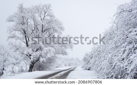 A winter road in the country with trees covered in snow. Driving on a road after a snowfall. Winter concept.