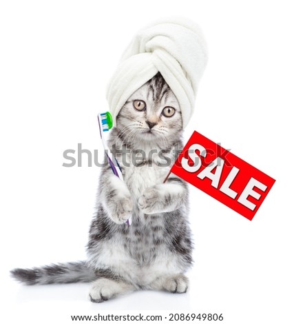 Tabby kitten with towel on it head holds toothbrush with toothpaste and shows sales symbol. isolated on white background