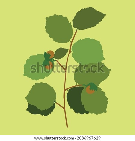 Conceptual design of ornamental plant or leaf vector illustration, great for icon drawing, plant illustration, plant decoration, decoration