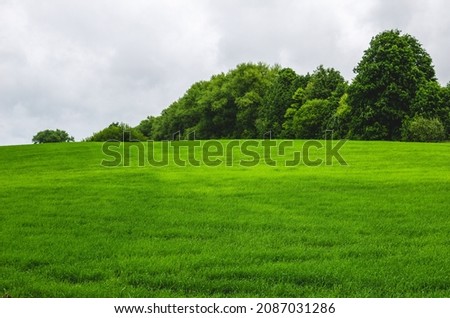 Young wheat grows near the forest. Forest belt protecting the field from the wind Royalty-Free Stock Photo #2087031286