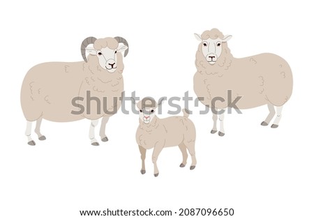 Vector set Cute Sheep and Ram isolated retro illustration. Standing Sheeps silhouette on white.
 Royalty-Free Stock Photo #2087096650